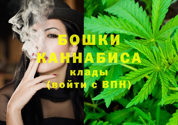 твердый Заводоуковск