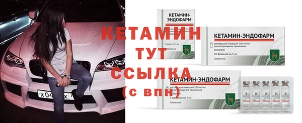твердый Заводоуковск