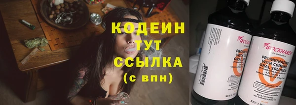 твердый Заводоуковск