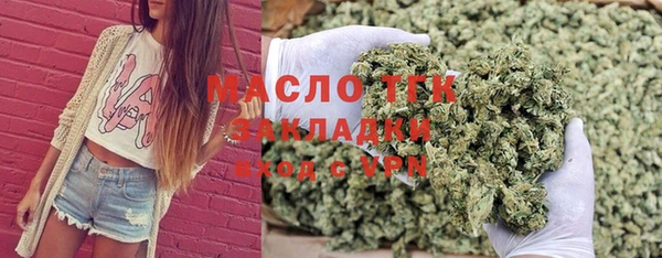 твердый Заводоуковск