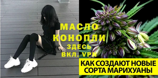 твердый Заводоуковск