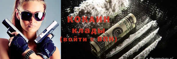 твердый Заводоуковск