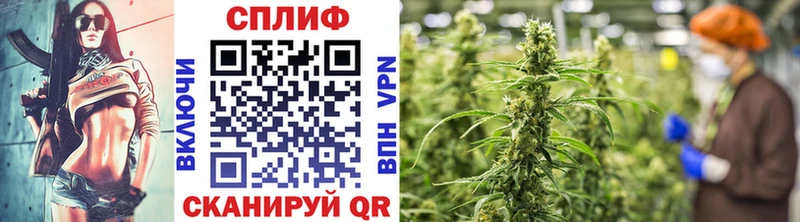 Каннабис семена  Купить закладки  Мыски 